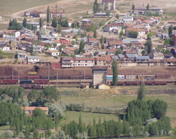 696dfcd3d0c81_kangal